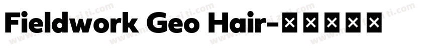 Fieldwork Geo Hair字体转换